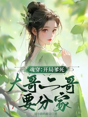 Soul: At the beginning, the father died, and the eldest and second brothers wanted to separate the f